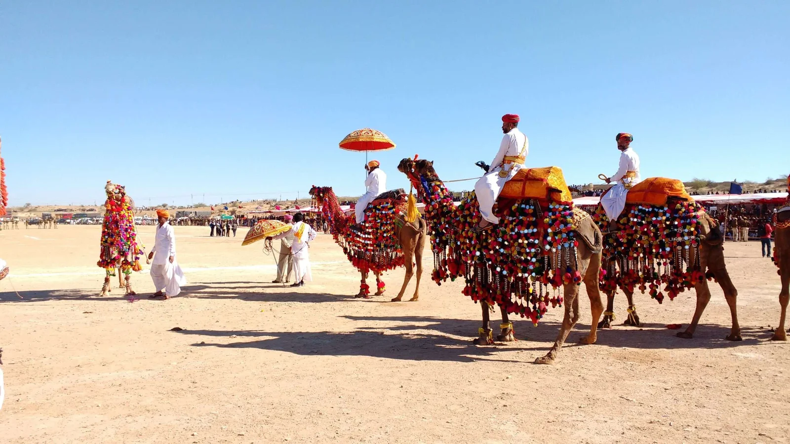 desert-safari-rajasthan-scaled